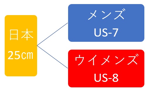 日本サイズと米国サイズの違い